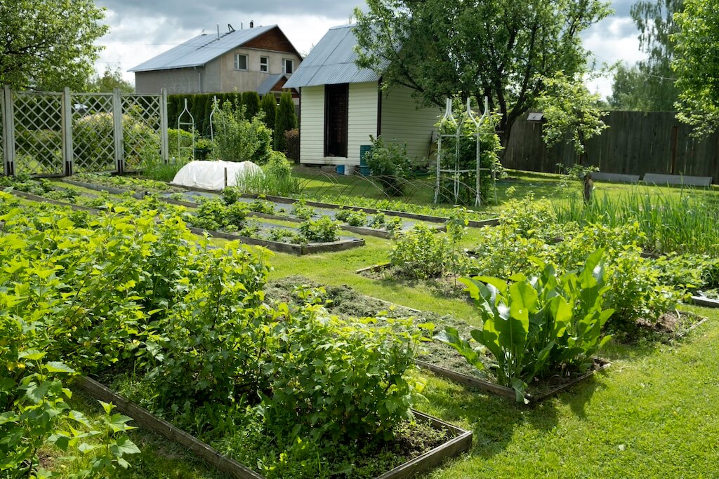 Skarga na nielegalną zabudowę i zakłócanie spokoju w ROD