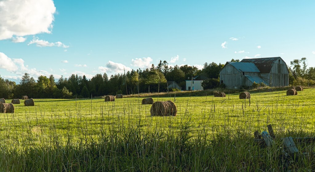 Podział nieruchomości rolnej we współwłasności, sprzedaż udziału, postępowanie sądowe