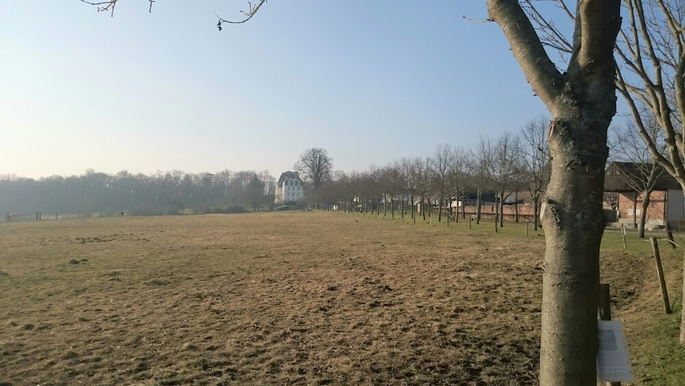 Współwłasność działki, czy możliwe jest posiadanie działki przez dwóch właścicieli?