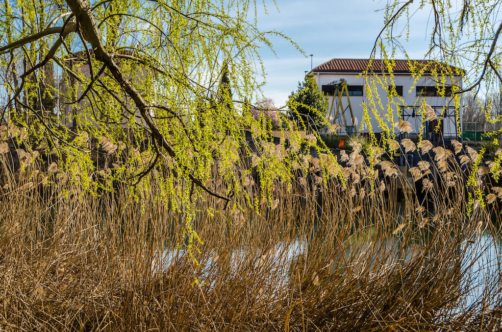 Czy sąsiad ma prawo odprowadzać wody opadowe na moją działkę?