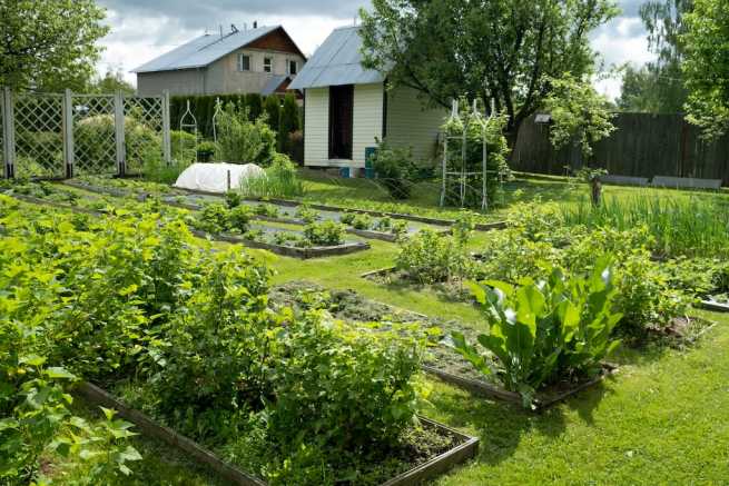 Skarga na nielegalną zabudowę i zakłócanie spokoju w ROD