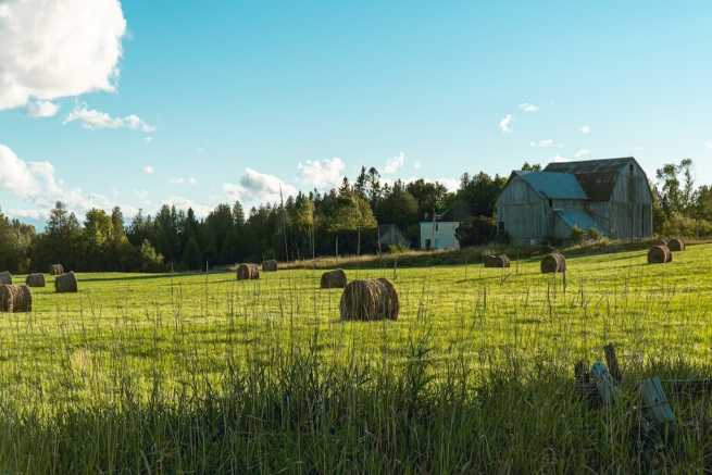 Podział nieruchomości rolnej we współwłasności, sprzedaż udziału, postępowanie sądowe