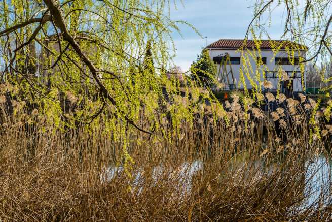 Czy sąsiad ma prawo odprowadzać wody opadowe na moją działkę?