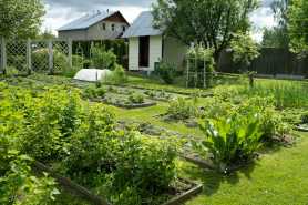 Skarga na nielegalną zabudowę i zakłócanie spokoju w ROD