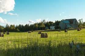 Podział nieruchomości rolnej we współwłasności, sprzedaż udziału, postępowanie sądowe