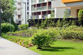 Charakter prawny ogródków przy mieszkaniach