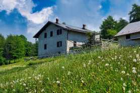 Współwłasność nieruchomości, obowiązkowe naprawy, legalizacja samowoli budowlanej