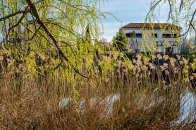 Czy sąsiad ma prawo odprowadzać wody opadowe na moją działkę?