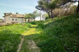 Zasiedzenie pozostałych udziałów w nieruchomości