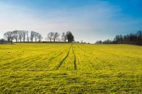 Własność rolna i skarga kasacyjna – możliwości dysponowania nieruchomością